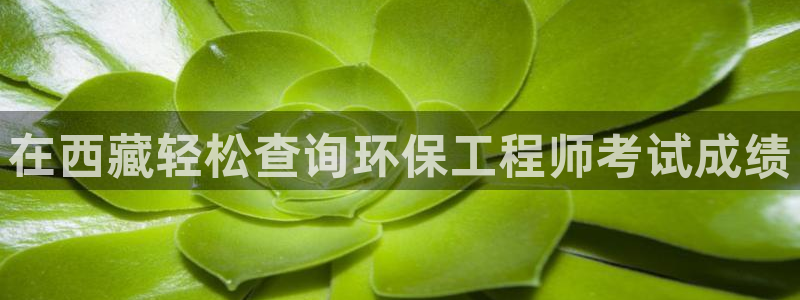 彩名堂计划app新版：在西藏轻松查询