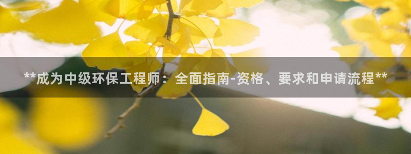 彩名堂客户：**成为中级环保工程师：