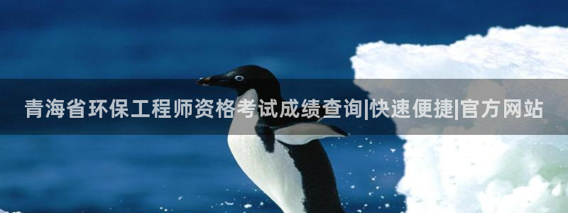 最新彩名堂计划：青海省环保工程师资格