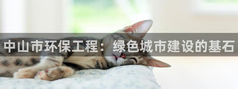 彩名堂上推荐的几个平台怎样：中山市环