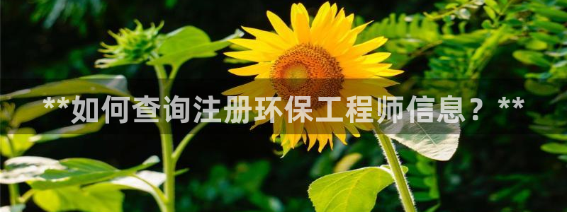 下载苹果手机版彩名堂：**如何查询注