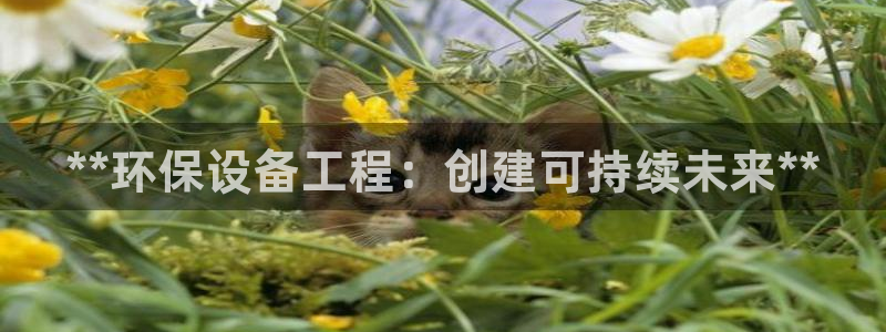 彩名堂为啥不准了乱变：**环保设备工