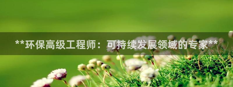 彩名堂官方平台：**环保高级工程师：