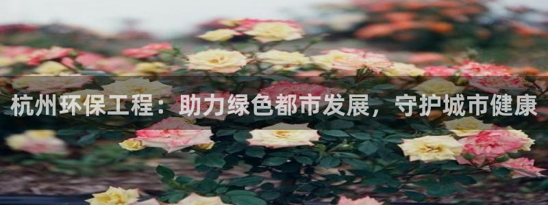 彩名堂人工计划客户端官网：杭州环保工