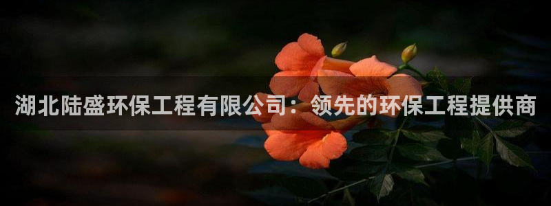 彩名堂预测免费计划app-彩名堂预测