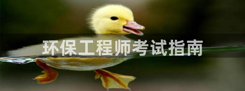 彩名堂为什么打不开：环保工程师考试指南