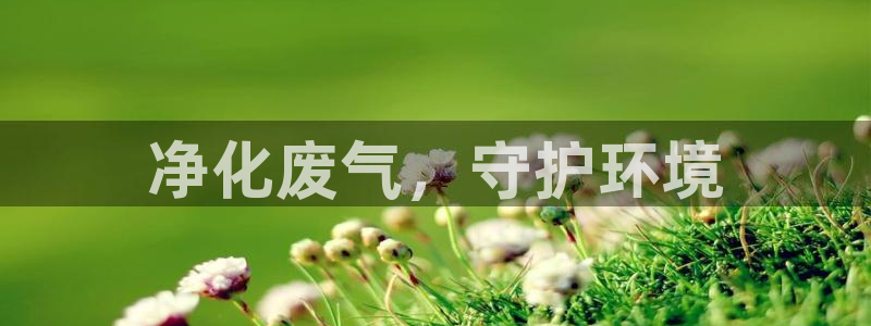 彩名堂免费计划客户端官网：净化废气，