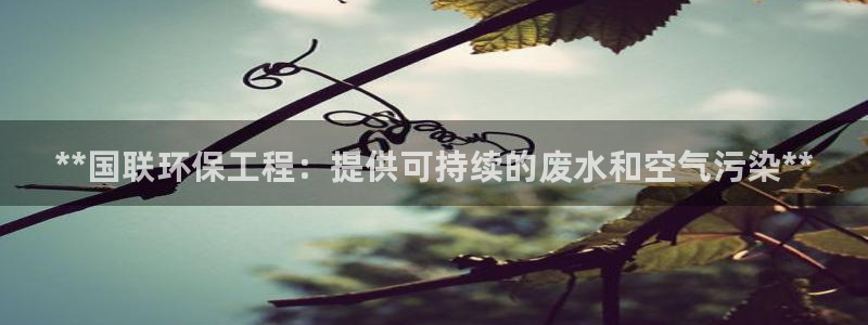 彩名堂拼音怎么拼：**国联环保工程：