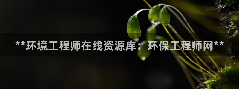 彩名堂一直不出结果怎么回事：**环境工程师在线资源库：环保工程师网**