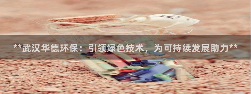 彩名堂官方软件下载：**武汉华德环保