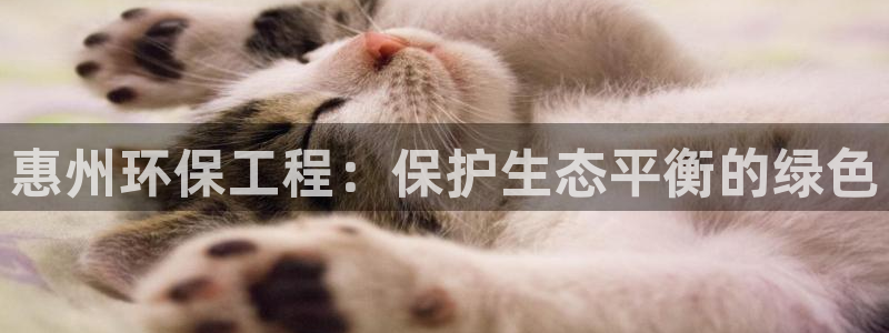 彩名堂跟哪种最好用：惠州环保工程：保