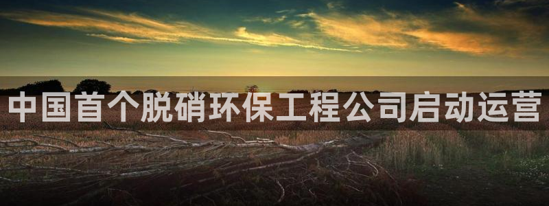 彩名堂拼音怎么拼：中国首个脱硝环保工