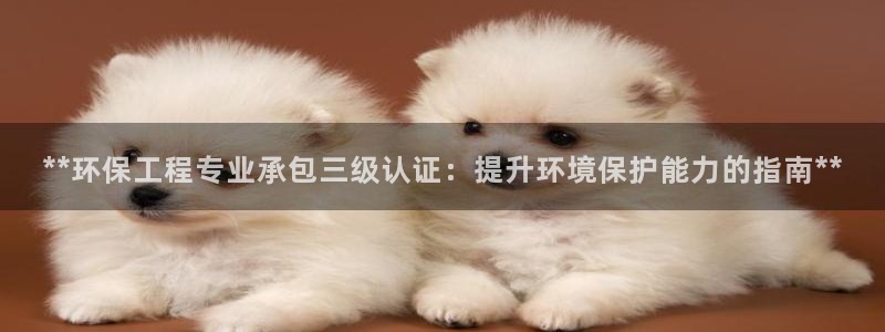 彩名堂一直不出结果怎么回事呀：**环保工程专业承包三级认证：提升环境保护能力的指南**