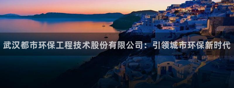 彩名堂为什么打不开：武汉都市环保工程