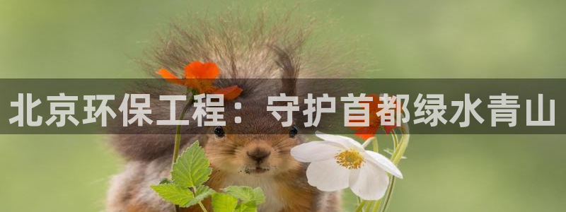 彩名堂计划怎么买胜率高：北京环保工程