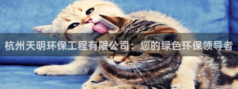彩名堂手机客户端怎么下载：杭州天明环保工程有限公司：您的绿色环保领导者