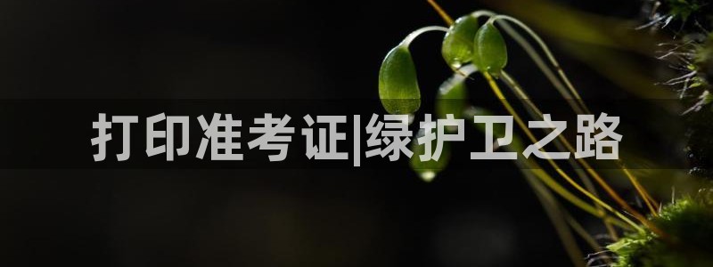 彩名堂安卓客户端官网：打印准考证|绿护卫之路