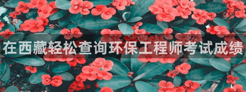 彩名堂预测软件与分析：在西藏轻松查询
