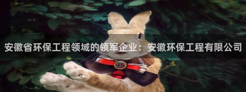 彩名堂怎么跟计划才不连挂呢：安徽省环
