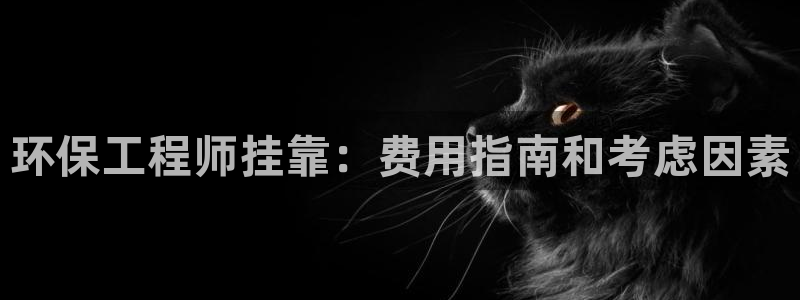 彩名堂50版本计划：环保工程师挂靠：