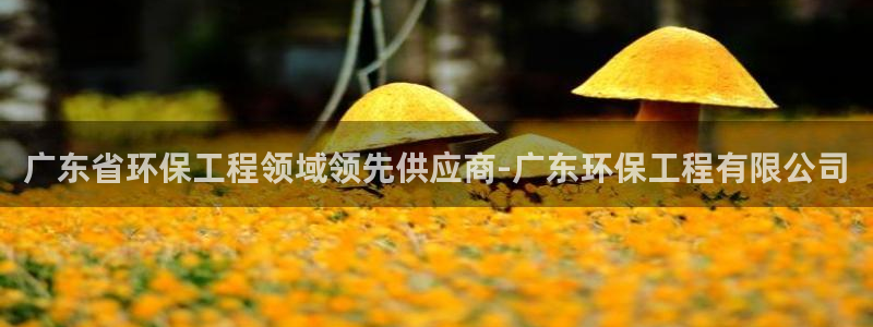 彩名堂最新预测3d：广东省环保工程领