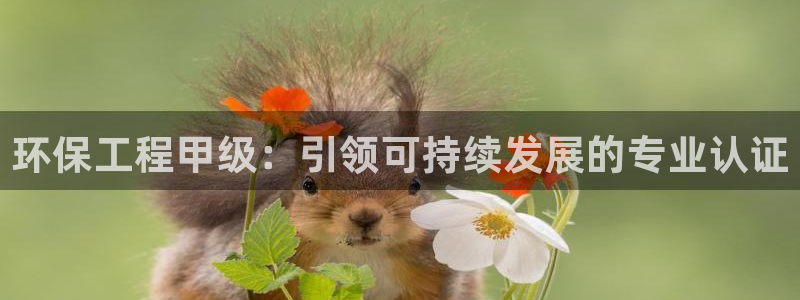 彩名堂官网2：环保工程甲级：引领可持