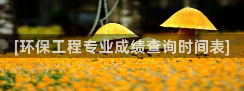 彩名堂免费计划5.0使用方法：[环保