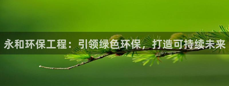 彩名堂怎么买准确率高：永和环保工程：