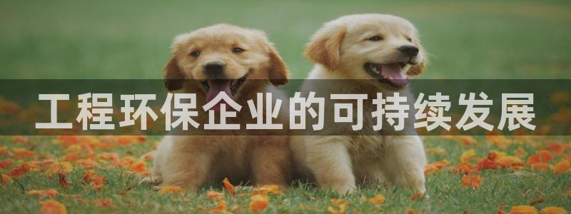 彩名堂一直不出结果怎么回事儿：工程环