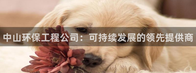 下载彩名堂预测计划软件：中山环保工程