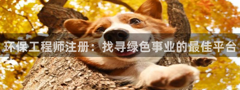 彩名堂975新版本：环保工程师注册：