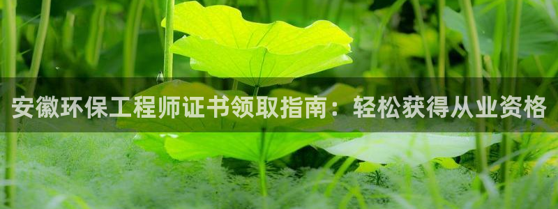 彩名堂拼音怎么拼：安徽环保工程师证书