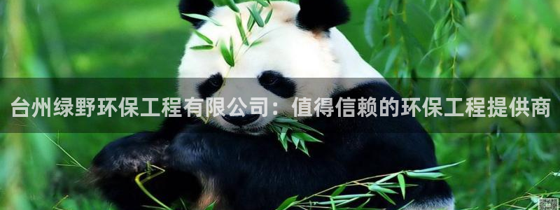 彩名堂怎么选稳定计划：台州绿野环保工