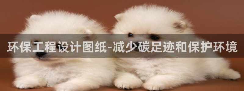 彩名堂计划官方下载网址：环保工程设计图纸-减少碳足迹和保护环境