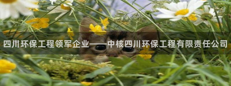 彩名堂免费计划下载：四川环保工程领军