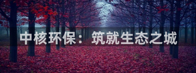 彩名堂为什么打不开：中核环保：筑就生
