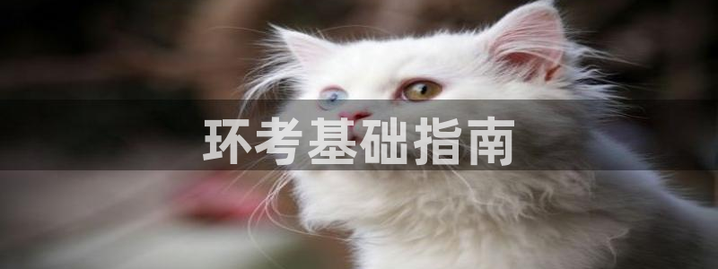 彩名堂移动客户端怎么下载：环考基础指南