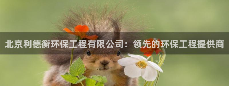 彩名堂怎么样：北京利德衡环保工程有限