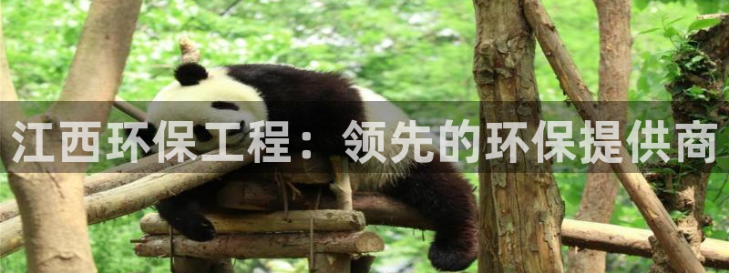 彩名堂人工计划客户端官网：江西环保工