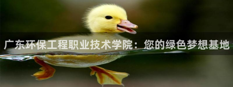 彩名堂app官方下载：广东环保工程职