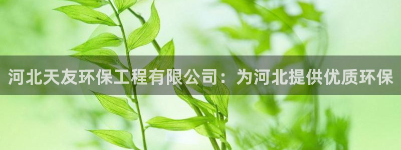 彩名堂双彩网：河北天友环保工程有限公