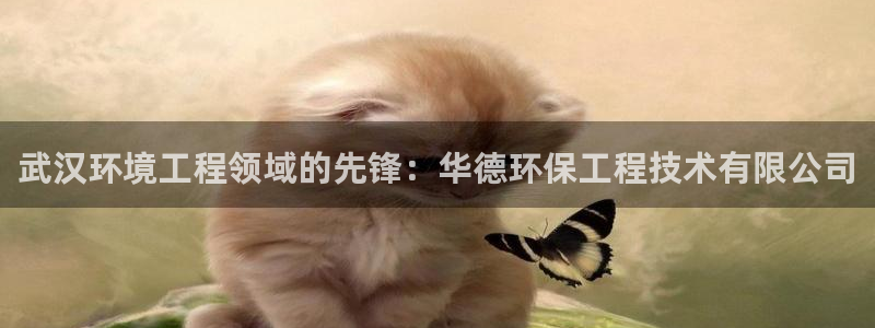 彩名堂幸运飞船计划：武汉环境工程领域的先锋：华德环保工程技术有限公司