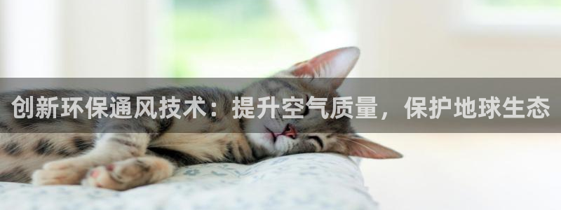 彩名堂怎么样：创新环保通风技术：提升