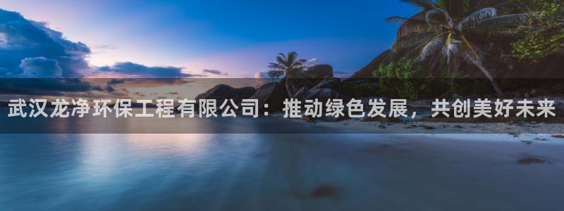 彩名堂为啥不准了乱变：武汉龙净环保工