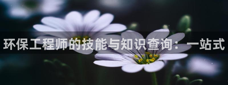 彩名堂计划怎么跟,为什么我一跟就挂：