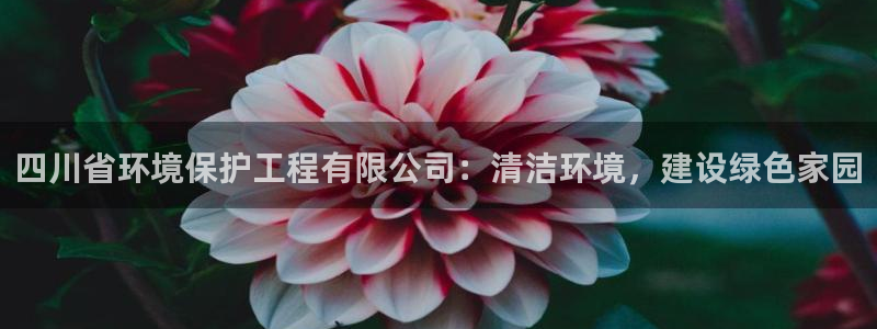 彩名堂改名稻草人了吗知乎：四川省环境保护工程有限公司：清洁环境，建设绿色家园