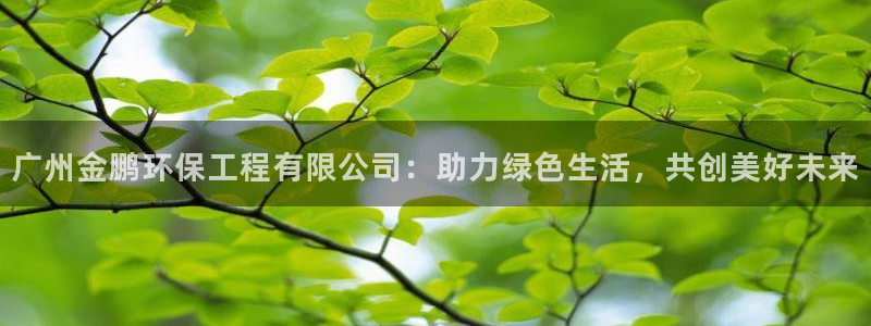 彩名堂客服电话号码：广州金鹏环保工程