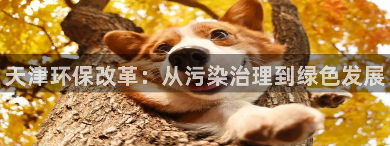 彩名堂合作655560：天津环保改革：从污染治理到绿色发展