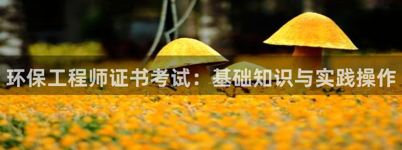 彩名堂人工计划怎么找不到下载了?：环