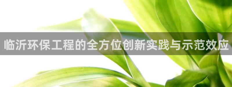 彩名堂好用还是千里马好用一点：临沂环保工程的全方位创新实践与